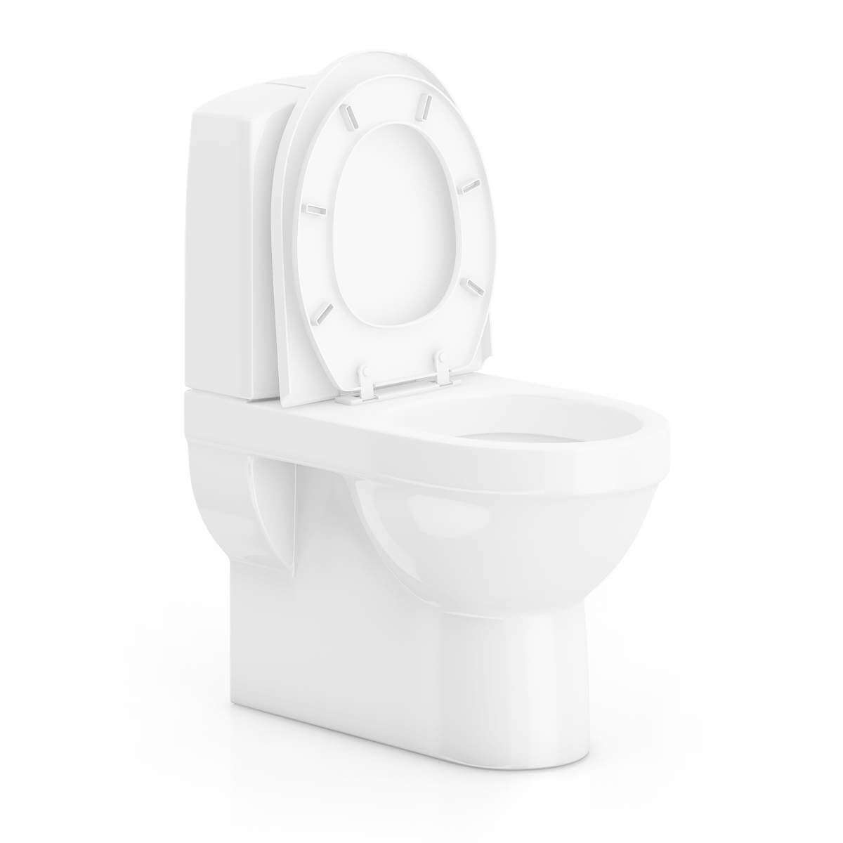 Toilet 3D Model