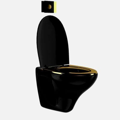 Black Toilet Bowl