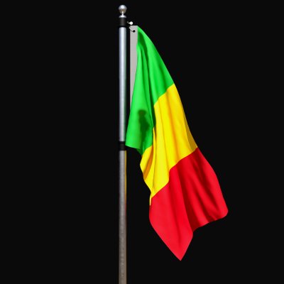 Flag of Mali 02