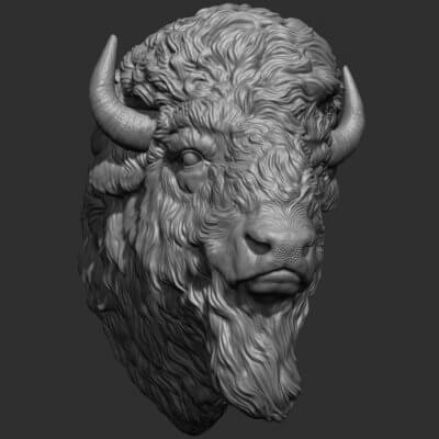 Bison Bust 3D Model