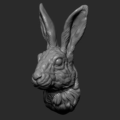 Hare Head 3D Model