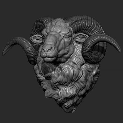 Ram Sheep Head 3D Model