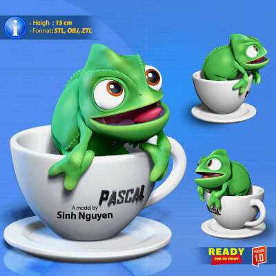 Pascal in Cup