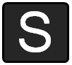 S Logo