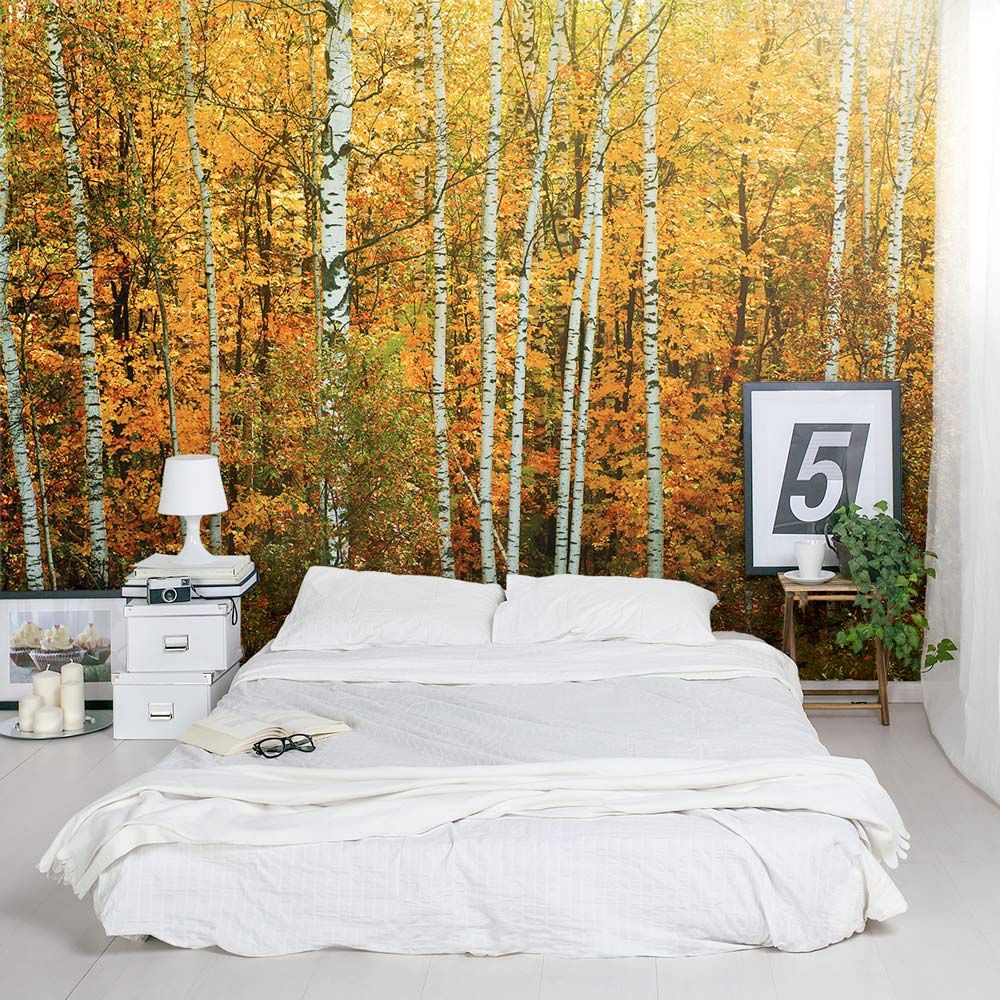 Birch Tree Wallpaper