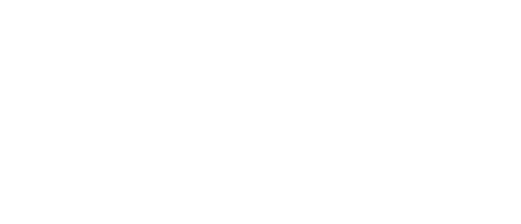 Wild Holly Gallery