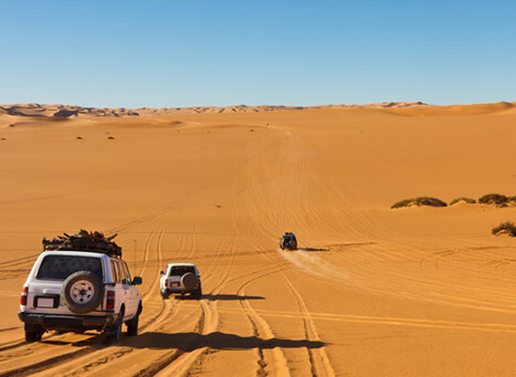 Desert Safari in Jodhpur