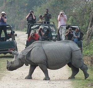 Three National Parks of Assam