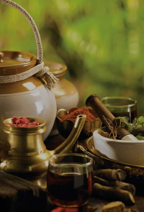 Rajasthan Ayurveda