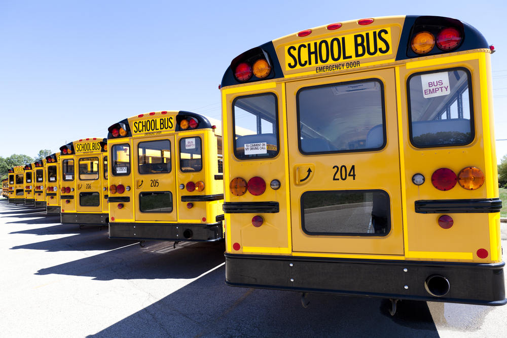 Learn about 179+ imagen why do school buses have no seat belts - In ...