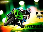 Kawasaki Ninja ZX-10R, Zielony, Logo, Motocyklista