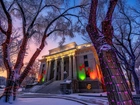 Stany Zjednoczone, Arizona, Prescott, Dom, Courthouse, Drzewa, Zima