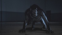 Werewolf - Teen Wolf Wiki