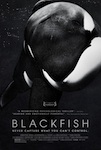 Blackfish poster