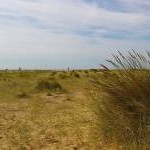 Jawick Dunes