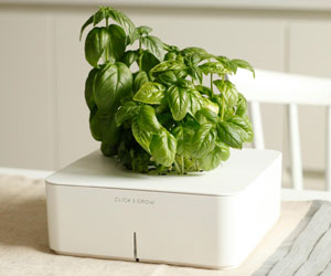 Click & Grow Smartpot