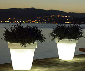 Bloom Light Pot by Designer Rob Slewe