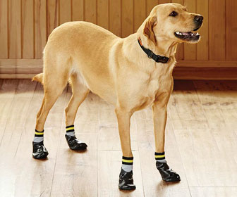 Dog Traction Socks