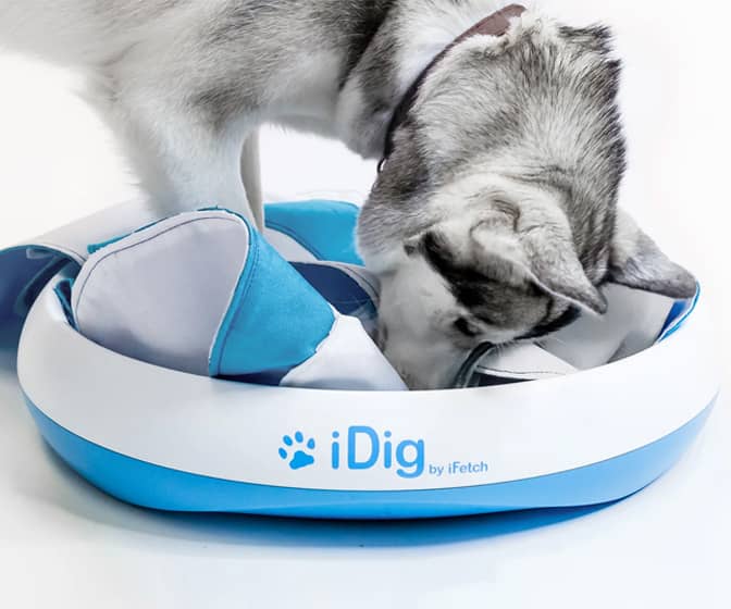 iDig Stay - Digging Toy For Dogs