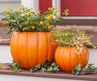 Pumpkin Planters