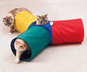 Three Way Cat Tunnel