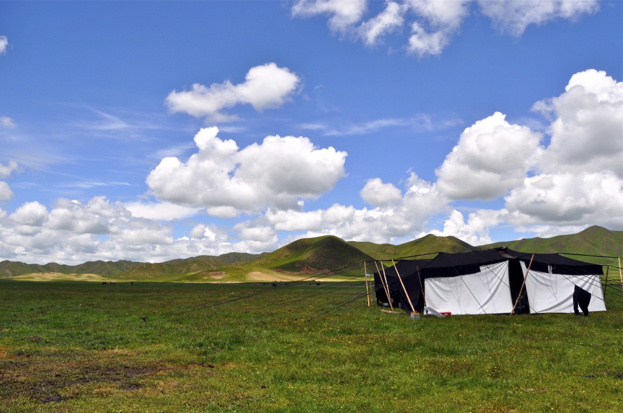 Tibetan Nomad life