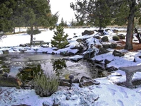 Image Winterizing Pond / De-Icers