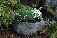 Image Accent Planter