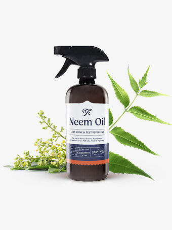 Neem Oil