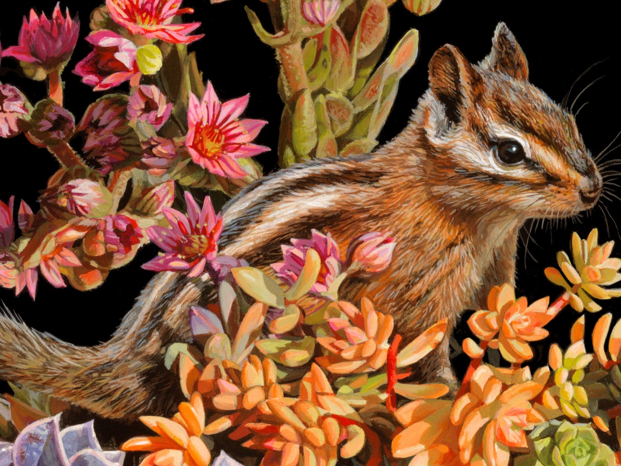 a chipmunk stands in the middle of flowering succulents