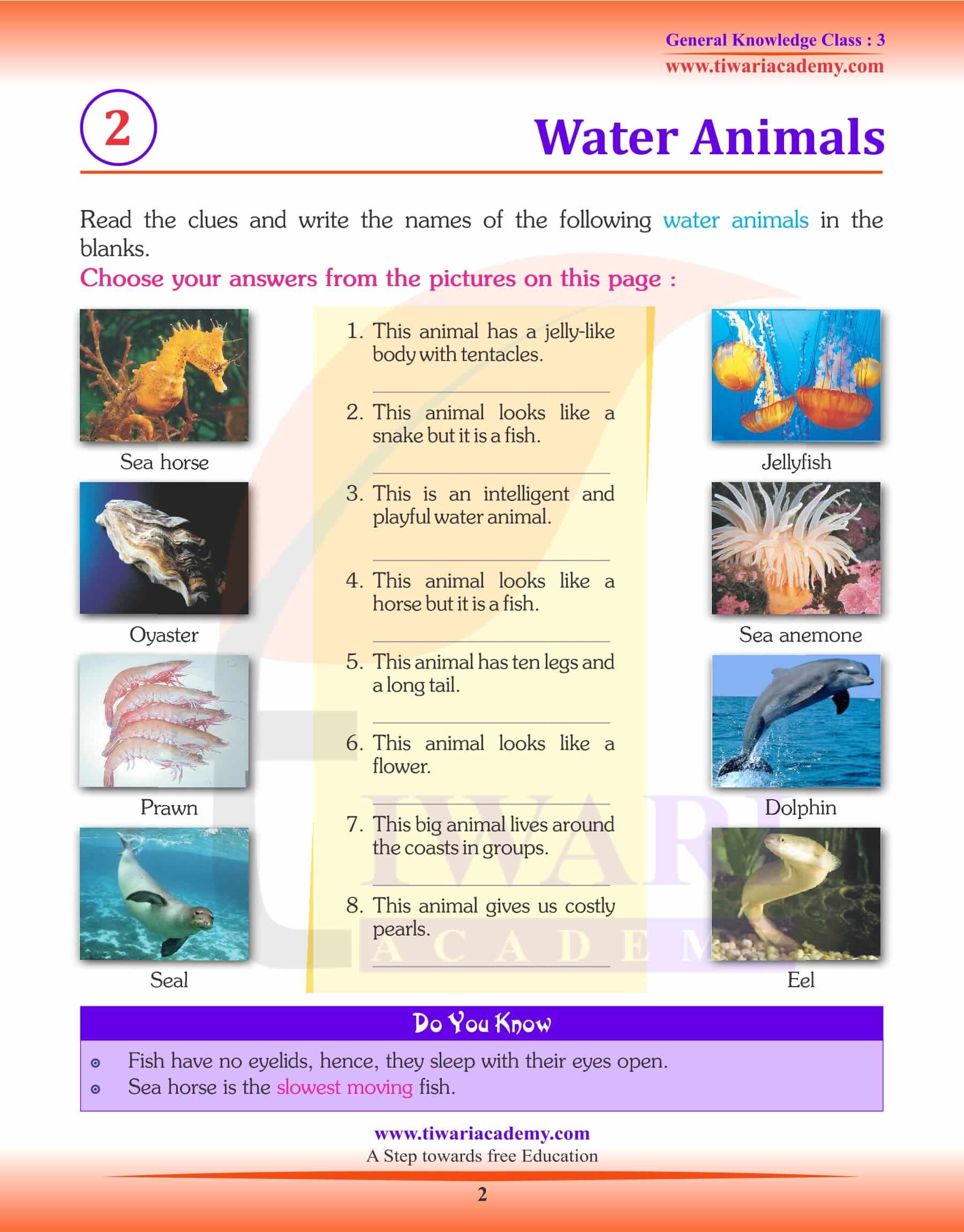 Water Animals