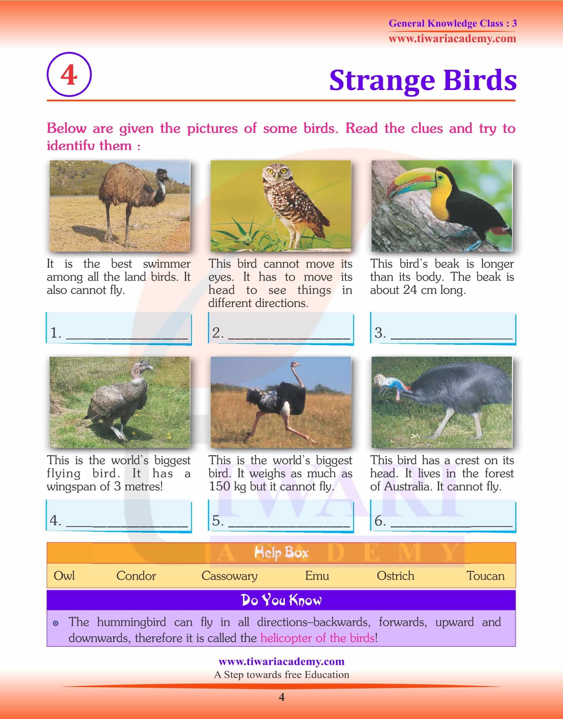 Strange Birds