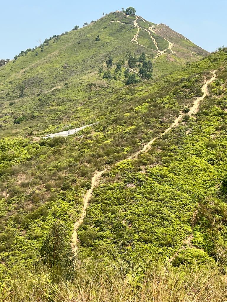 Tin Shui Wai Hill