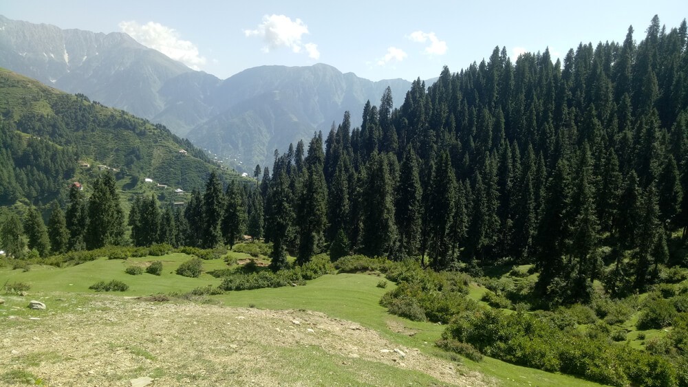 Shangla