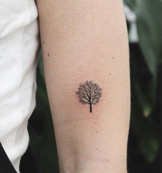 25 Ultimate Tree Of Life Tattoo Ideas for Men  Women  ZestVine  2023