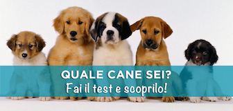 test quale cane sei