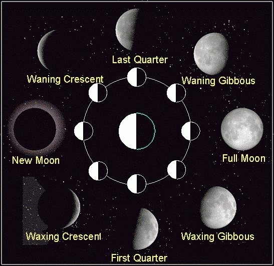 New Moon Schedules