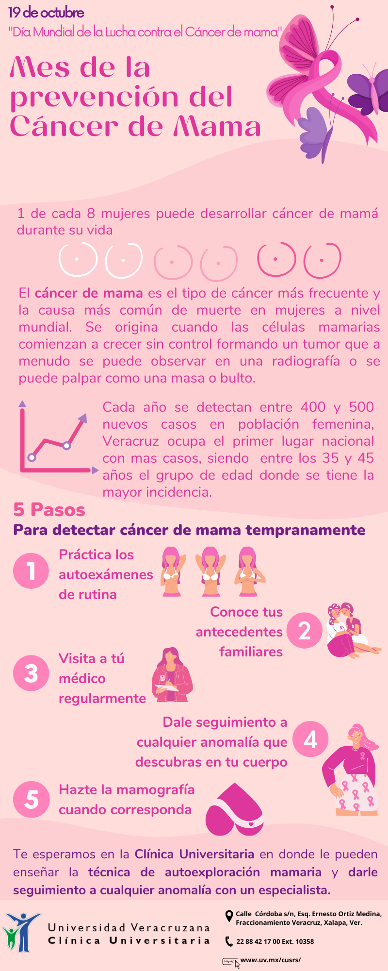 Infografia Cancer De Mama Docsity | The Best Porn Website