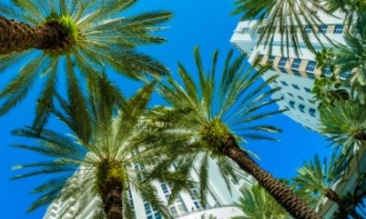 Miami Probate, Real Estate & Business Litigation Lawyer