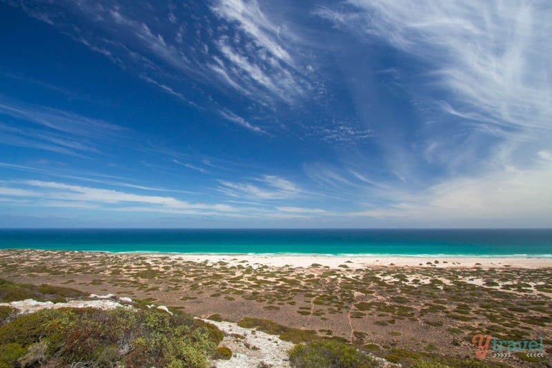 beach view 