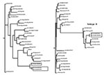 Thumbnail of Unrooted phylograms of partial nucleotide sequences of the PB2 and NS genes of selected influenza A viruses including those from poultry in Chile in 2002 (indicated in boxes). Nucleotides 14–188 of PB2and 50–481 of NS were used for the analyses. The lengths of the horizontal lines are proportional to the number of nucleotide differences.