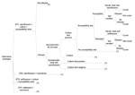 Thumbnail of The 4 strategies; + denotes "truncated" branch; GC, gonorrhea.