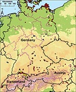 Thumbnail of Locations of sentinel duck flocks at 5 locations in Germany, Switzerland, and Austria. A–C) Sites at Lake Constance: Radolfzell, Germany (A); Bregenz-Thal, Austria (B); and Altenrhein, Switzerland (C). D–E) Additional sentinel stations at Lake Felchow, Brandenburg, Germany (D), and Isle of Koos, Mecklenburg–Western Pomerania, Germany (E). Yellow dots mark the location of sentinel stations. Red dots mark detections of highly pathogenic avian influenza virus (HPAIV) (H5N1) in dead wil