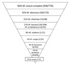 Thumbnail of Clinical relevance of pulmonary nontuberculous mycobacterium (NTM) isolates, Asia, 1971–2007. Relevance per species was defined as percentage of patients with pulmonary NTM isolates meeting the American Thoracic Society criteria. Species reported infrequently, i.e., &lt;5×, are not shown. Data from (6,16,17,21,23,25,29,32,33).