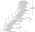 Thumbnail of Phylogenetic relationship of the hemagglutinin (HA) gene among various influenza A(H5N1) strains; HA sequences for 95 strains (60 from Cambodia, 34 from Vietnam) were included in the analysis. Black triangles indicate viruses detected during this study of environmental samples from live poultry markets in Cambodia. Phylogenetic trees were generated by using the distance method and applying the neighbor-joining algorithm with bootstrap analysis (1,000 replicates). Analysis was based 