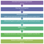 Thumbnail of Schematic description of tissue-based universal virus detection for viral metagenomics protocol. Estimated durations of each step are shown in parentheses. The protocol takes 12 h to complete.