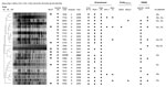 Thumbnail of Dendogram of pulsed-field gel electrophoresis (PFGE) profiles showing the relationship between a clonal strain of Escherichia coli of animal origin (LV143, in boldface), and 22 E. coli isolates from humans. We used the unweighted pair group method and the Dice coefficient with 1.8% optimization (opt) and band position tolerance (tol) of 1%. Isolates with a Dice band–based similarity coefficient of &gt;80% were considered to belong to the same cluster. Black squares under multilocus 