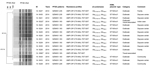 Thumbnail of XbaI pulsed-field gel electrophoresis patterns of Shigella sonnei strains identified during a 2014 outbreak in South Korea and 2 isolated from samples from persons in Vietnam. The dendrogram was constructed by using Dice coefficient and UPGMA clustering, with 1.5% optimization and 1.5% position tolerance. Antibiotic resistance profiles and resistance determinants to extended-spectrum cephalosporins and fluoroquinolones are plotted next to the dendrogram. All strains had QRDR mutatio