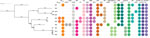 Thumbnail of Phylogeny of Gallibacterium anatis isolates from cattle in Belgium, 2017–2018, based on single-nucleotide polymorphism genotyping when using GB8 as a reference. Node labels indicate bootstrap support values (expressed as decimals). Branch lengths and the scale bar are expressed as average substitutions per site. The resistance genes detected in each sample are listed to the right according to the legend displayed on top.