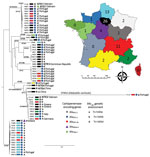 Thumbnail of Phylogenetic analysis of Klebsiella pneumoniae carbapenemase–producing K. pneumoniae isolates, France, 2018. STs are indicated on the branches of the tree. Colored circles, triangles, or pentagons indicate carbapenemase type. Colored rectangles indicate region where isolates were recovered, as indicated on inset map; numbers on map indicate number of isolates. Genetic context indicated by isoform of Tn4401 or NTE. Labels indicate links with foreign countries. Scale bar on tree indic